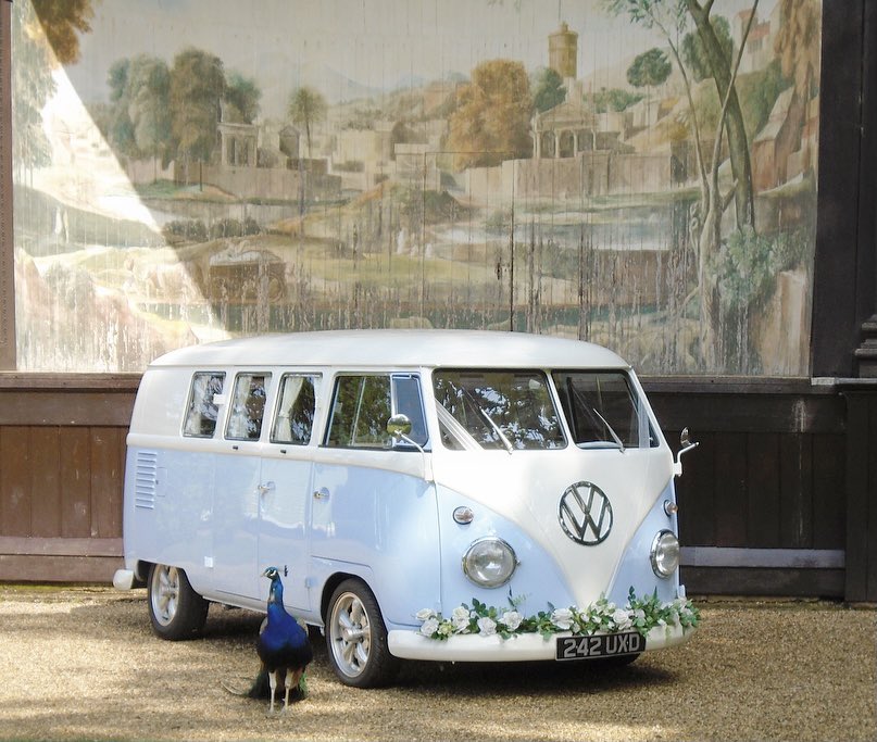Dorset Dubhire tweet media