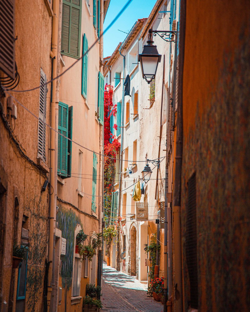 ManonSuene's tweet image. Apprendre à lever les yeux 👀

• manonsuenepradier.fr

#hyeres #hyereslespalmiers @hyerestourisme @visitvar @visitcotedazur