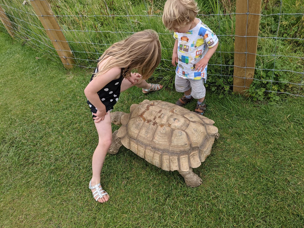 Loving nature and one of the many highlights of the holidays; spending time with the family. Keep shining soon.
#BeautifulYorkshire
#SpendingTimeWithTheFamily 
#CherishingMemories 
#DontEndTooSoon