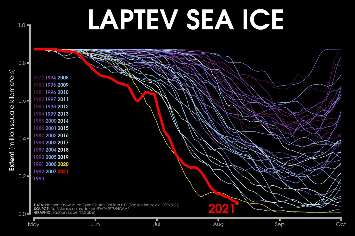 ZLabe's tweet photo. Laptev Sea (#Arctic) ice watch ---> 😬 https://t.co/dxVQG1qooD