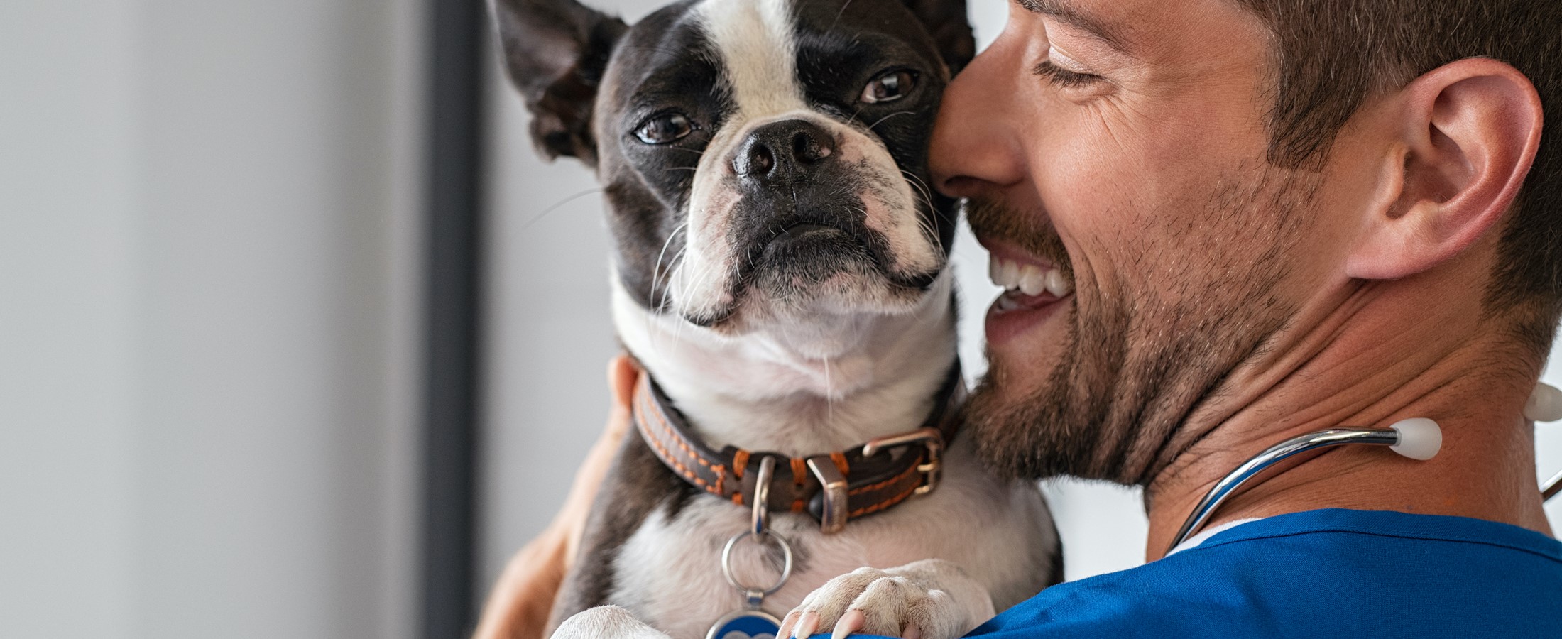 24 hour hotsell vet helpline