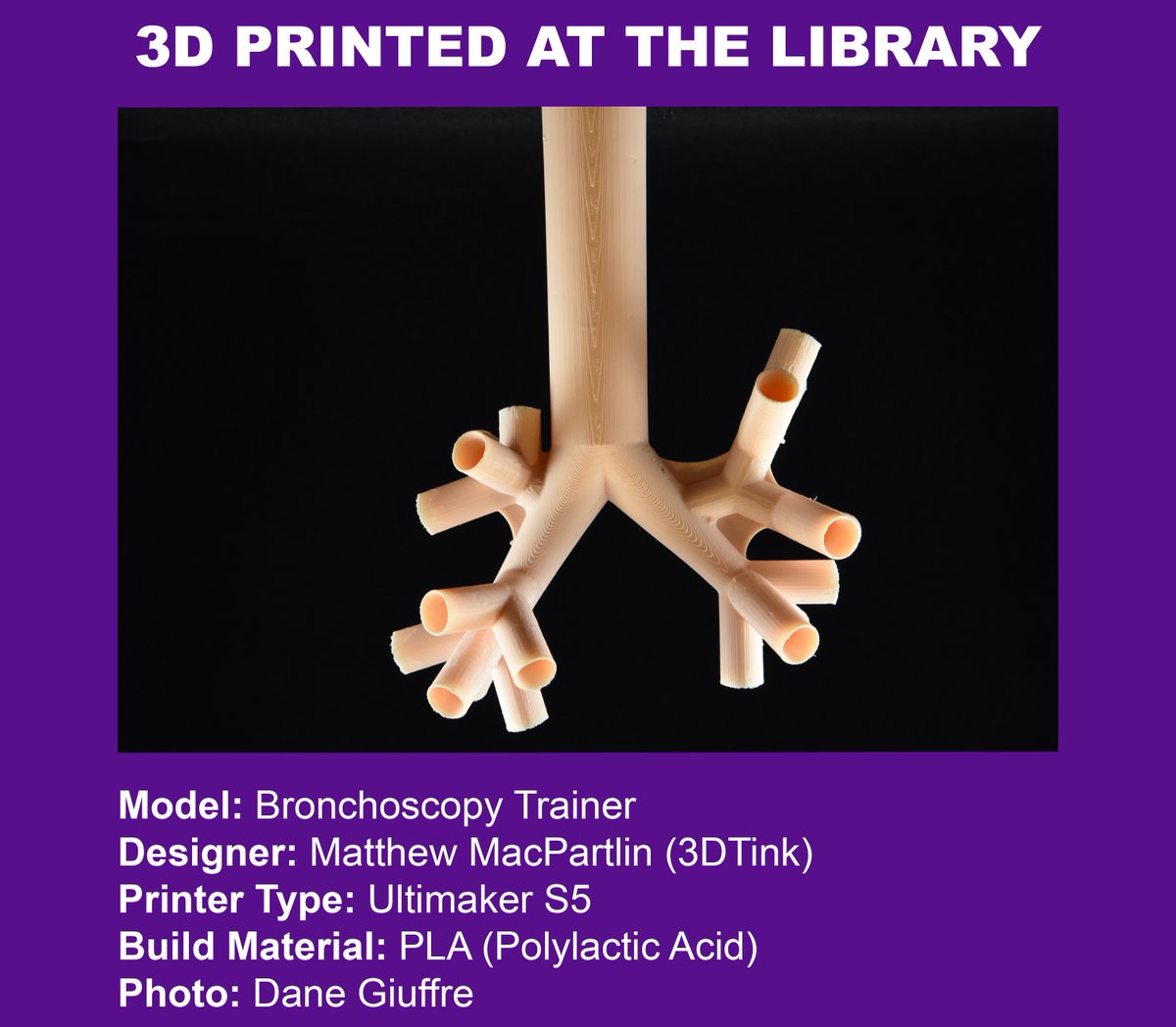 Dr. Brian Kaufman, from the NYU Langone Health Department of Anesthesiology, requested this 3D printed trachea model for bronchoscopy training. Visit our homepage to start your next 3D Print project today! #3dprinting #nyulangone #3dprintthursday