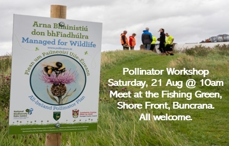 BuncranaTidyTowns (@buncranatt) on Twitter photo ๐ We've some news! We've teamed up with George McDermott (town gardener) & Wild Inishowen to ๐ต๐ผ๐๐ ๐ฎ community #๐ฝ๐ผ๐น๐น๐ถ๐ป๐ฎ๐๐ผ๐ฟ ๐๐ผ๐ฟ๐ธ๐๐ต๐ผ๐ฝ on ๐ฆ๐ฎ๐ ๐ฎ๐ญ ๐๐๐ด๐๐๐ ๐ญ๐ฌ๐ฎ๐บ ๐บ๐ฒ๐ฒ๐๐ถ๐ป๐ด ๐ฎ๐ ๐๐ต๐ฒ ๐๐ถ๐๐ต๐ถ๐ป๐ด ๐๐ฟ๐ฒ๐ฒ๐ป, shore front Buncrana. All welcome. ๐ We've some news! We've teamed up with George McDermott (town gardener) & Wild Inishowen to ๐ต๐ผ๐๐ ๐ฎ community #๐ฝ๐ผ๐น๐น๐ถ๐ป๐ฎ๐๐ผ๐ฟ ๐๐ผ๐ฟ๐ธ๐๐ต๐ผ๐ฝ on ๐ฆ๐ฎ๐ ๐ฎ๐ญ ๐๐๐ด๐๐๐ ๐ญ๐ฌ๐ฎ๐บ ๐บ๐ฒ๐ฒ๐๐ถ๐ป๐ด ๐ฎ๐ ๐๐ต๐ฒ ๐๐ถ๐๐ต๐ถ๐ป๐ด ๐๐ฟ๐ฒ๐ฒ๐ป, shore front Buncrana. All welcome.