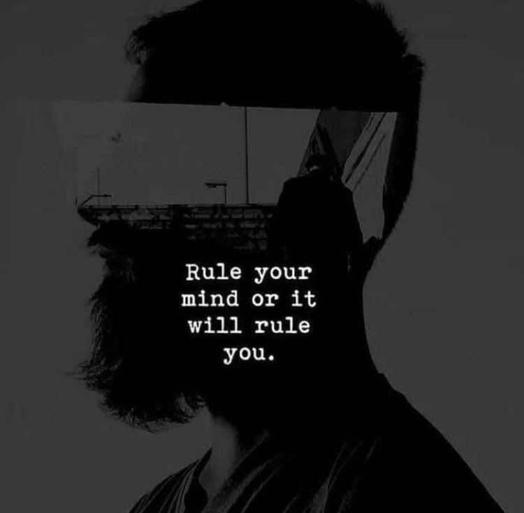 TimingImage's tweet image. 