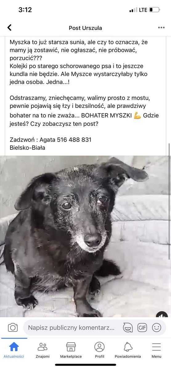 TypowaFunGirl's tweet photo. PROSZE O UDOSTEPNIANIE 
Moze ktos akuray jest w stanie dac jej domek🥺 https://t.co/N6XH58uSRF