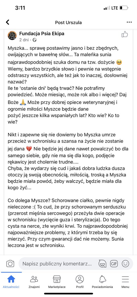 TypowaFunGirl's tweet photo. PROSZE O UDOSTEPNIANIE 
Moze ktos akuray jest w stanie dac jej domek🥺 https://t.co/N6XH58uSRF