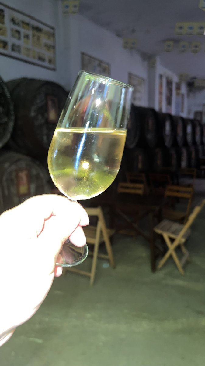 Esteritacolome's tweet photo. De Museo en Museo oiga … hoy en @AragonBodega salud y gloria pa ustede😉 https://t.co/ylElE9LijZ