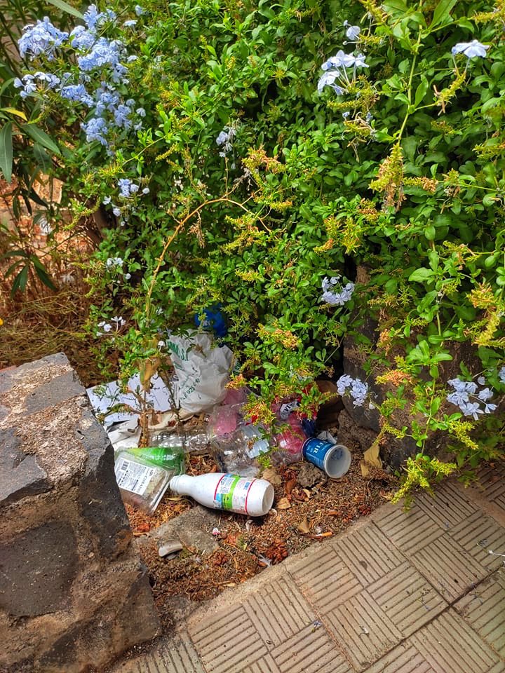 AavvAvelca's tweet photo. Estado de los jardines de acceso al Bloque 54. Falta de mantenimiento de los jardines, falta de limpieza y una plaga de ratas. Hasta cuando? @aytolalaguna_es @LaLagunaSalud @LuisYeray_Psoe @ https://t.co/cwGErBJj6X