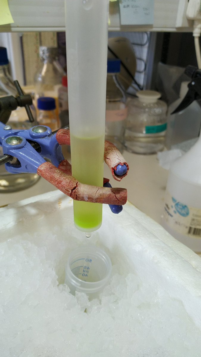 Always fun purifying a GFP tagged protein!