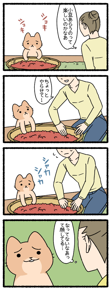 ねこようかい あずきあらい  #ねこようかい 