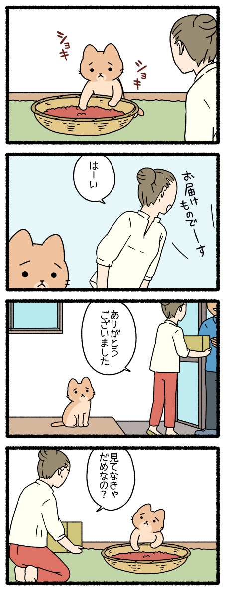 ねこようかい あずきあらい  #ねこようかい 