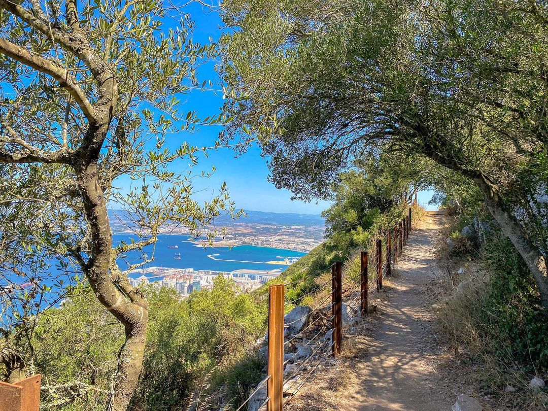 Where will your path lead today? visitgibraltar.gi/see-and-do/nat… | 📷 @168_seconds #VisitGibraltar #Gibraltar #TimeToBeEnlightened