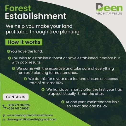 AgroDeen's tweet photo. Got land that is idle? How about a dive into Agro-forestry.

We’re here to walk you through the journey. Talk to us now. https://t.co/oj2ZqFyiUX