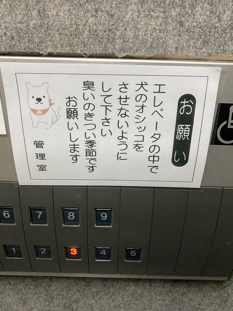 Clash_Uyon's tweet photo. えっ？
季節の問題？？ https://t.co/hgtw3bXp1w