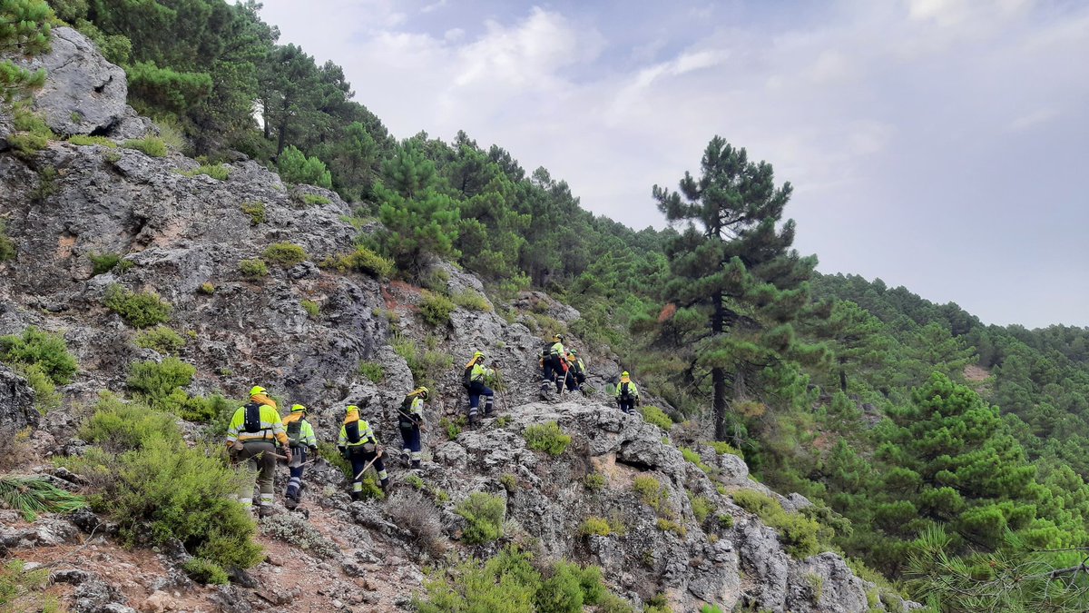 MeteoHellin's tweet photo. 👏🧑‍🚒Imagen que muestra la inaccesibilidad del terreno y frondosidad del bosque del #IFYeste de ayer tarde por rayo, que quedó en conato gracias a la rápida actuación y la lluvia. ¡Gran trabajo como siempre de los bomberos forestales! #IIFF #Albacete #SierraDelSegura #meteoAB https://t.co/dAUtPnM3n2