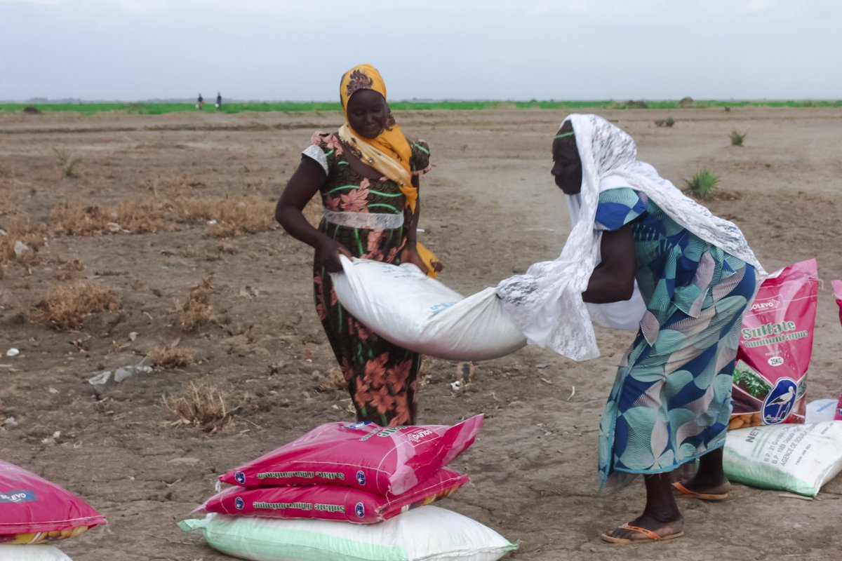 agriinvestgroup's tweet photo. Le #panafricanisme, c'est aussi consommer les produits locaux. Pour notre développement en Afrique, consommons local.

#InvestinChange  #Agriculture https://t.co/F3iUl9iSPv