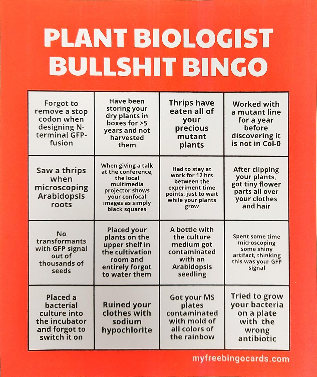 Elena Zem (@elenazeml) on Twitter photo 