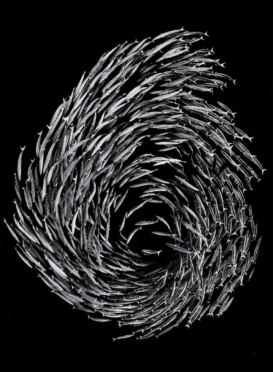archillect's tweet photo. https://t.co/i8qENpxfM1