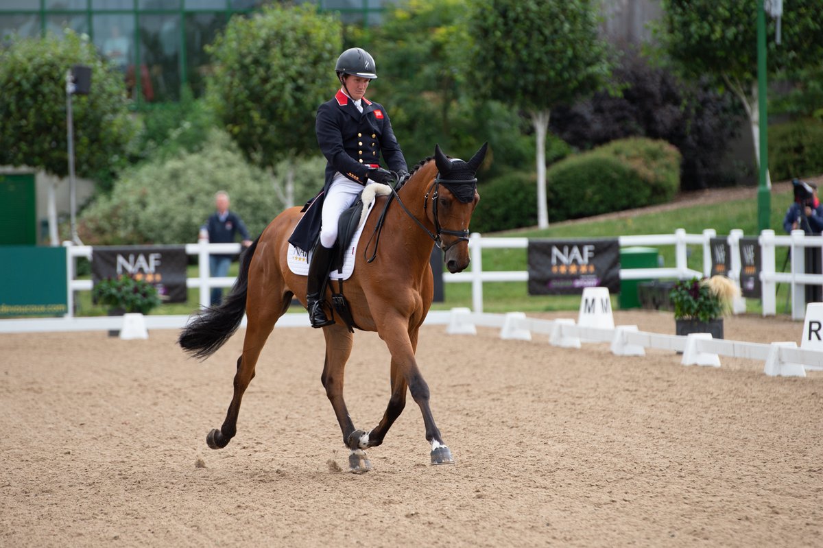 We are LIVE on Day One of the <a href="/nafuk/">@nafuk</a> Five Star International Hartpury Horse Trials - head to our live stream page and choose from three channels, each covering one of our dressage arenas.

bit.ly/2VOAeFH

#NAFHHT10