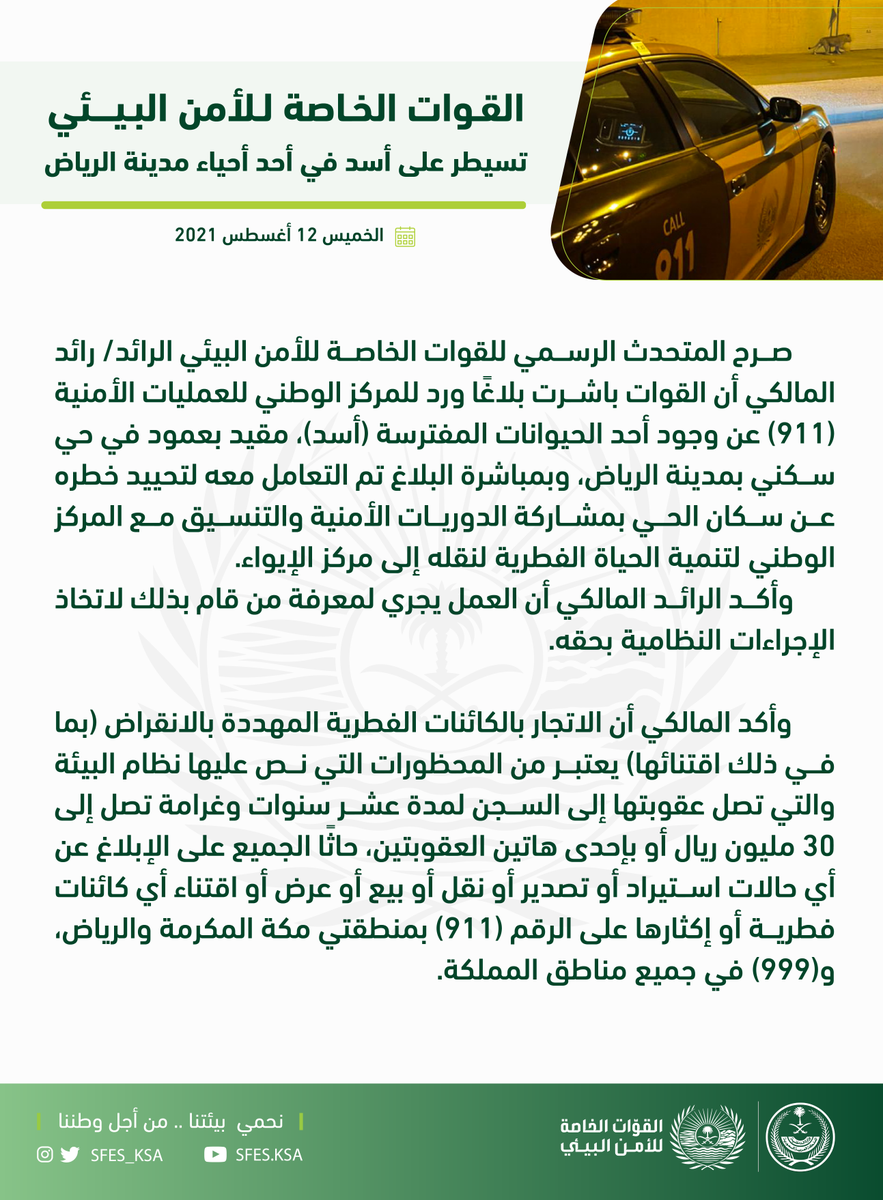 SFES_KSA's tweet photo. القوات الخاصة للأمن البيئي تسيطر على أسد في أحد أحياء مدينة الرياض بمشاركة الدوريات الأمنية والمركز الوطني لتنمية الحياة الفطرية.

#نحمي_بيئتنا_من_أجل_وطننا https://t.co/OnSLvRQc5R