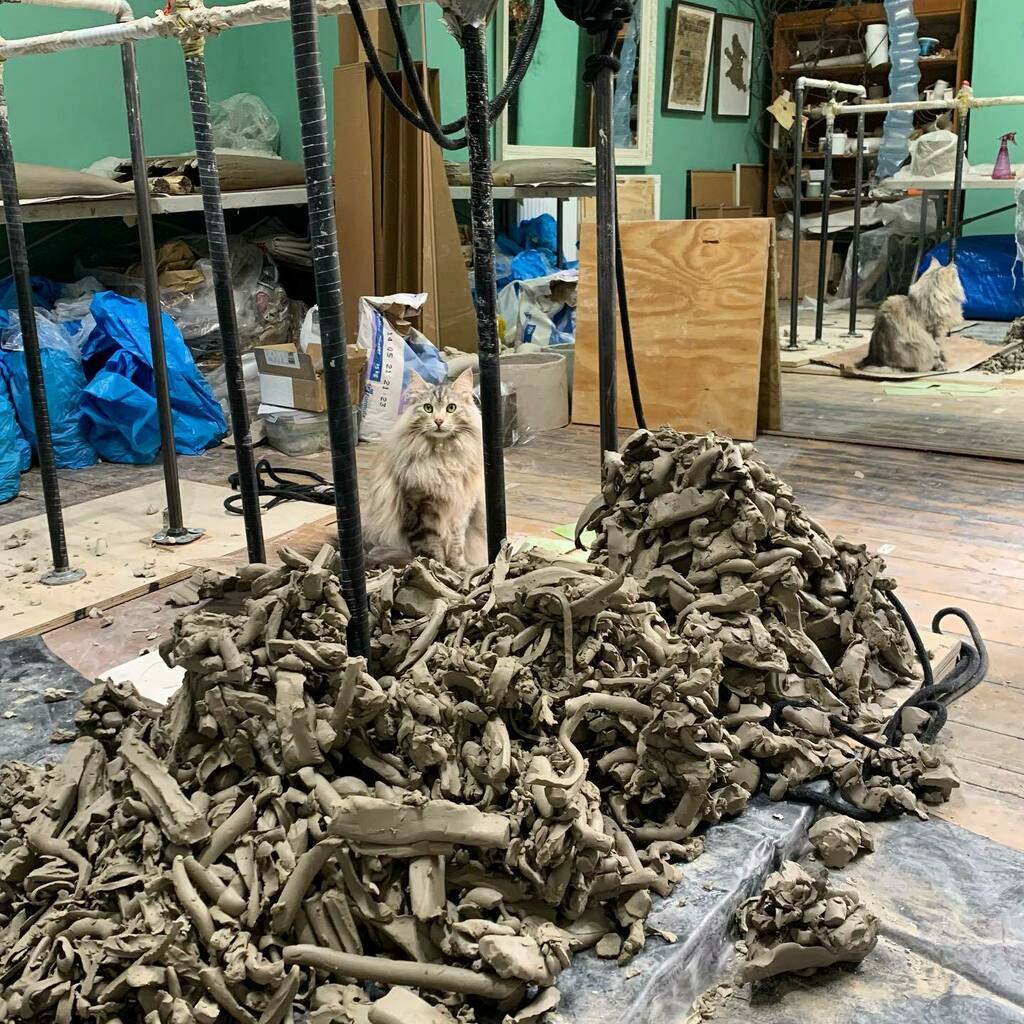 Too floofy to be a pottery assistant? 🤔🦁💜 instagr.am/p/CSeClGwozF3/