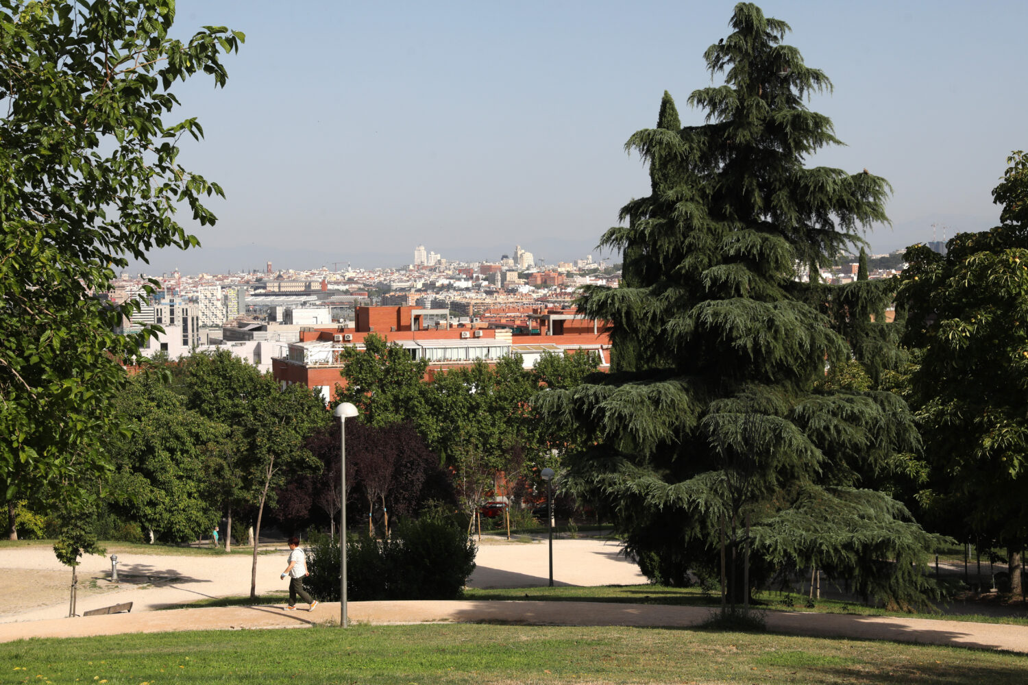 Foto cedida por Ayuntamiento de Madrid