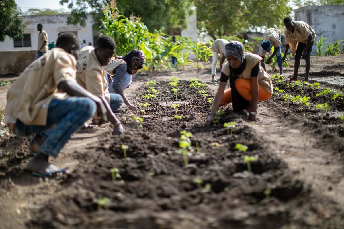 Youth-led innovations are modernizing agriculture and transforming food systems while protecting the planet. In honour of #YouthDay, we are celebrating our young leaders &amp; partners who are taking action against climate change and working towards more equitable food systems.