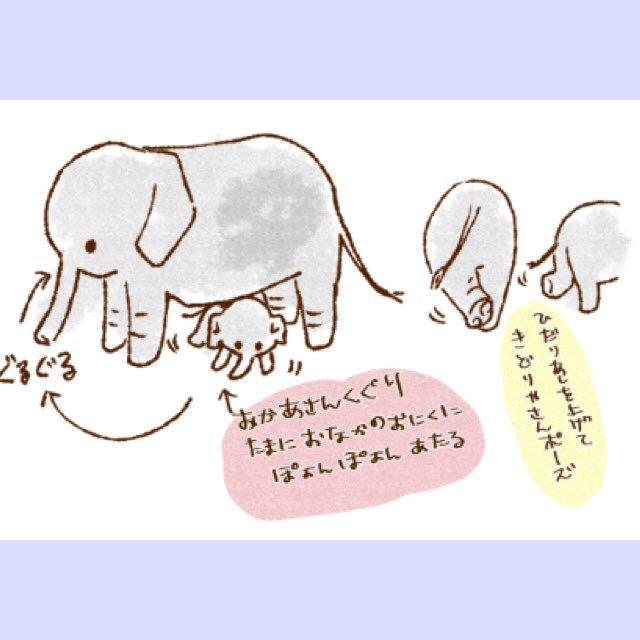 世界ぞうの日ということで‼️

#世界ゾウの日 #上野動物園 
https://t.co/nlxB257MlA 