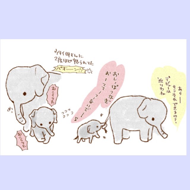 世界ぞうの日ということで‼️

#世界ゾウの日 #上野動物園 
https://t.co/nlxB257MlA 