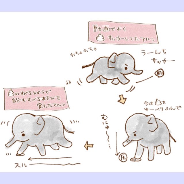 世界ぞうの日ということで‼️

#世界ゾウの日 #上野動物園 
https://t.co/nlxB257MlA 