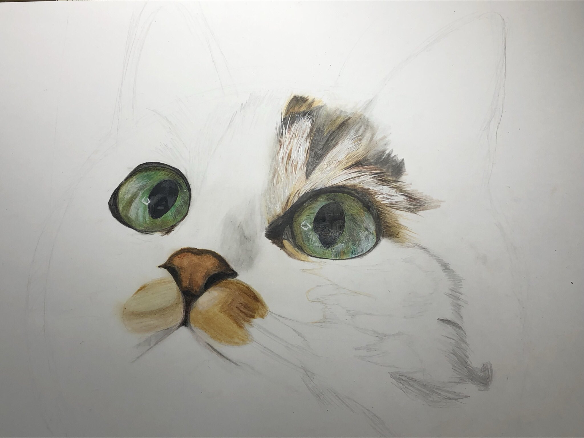 猫イラスト 模写 Twitter Search Twitter