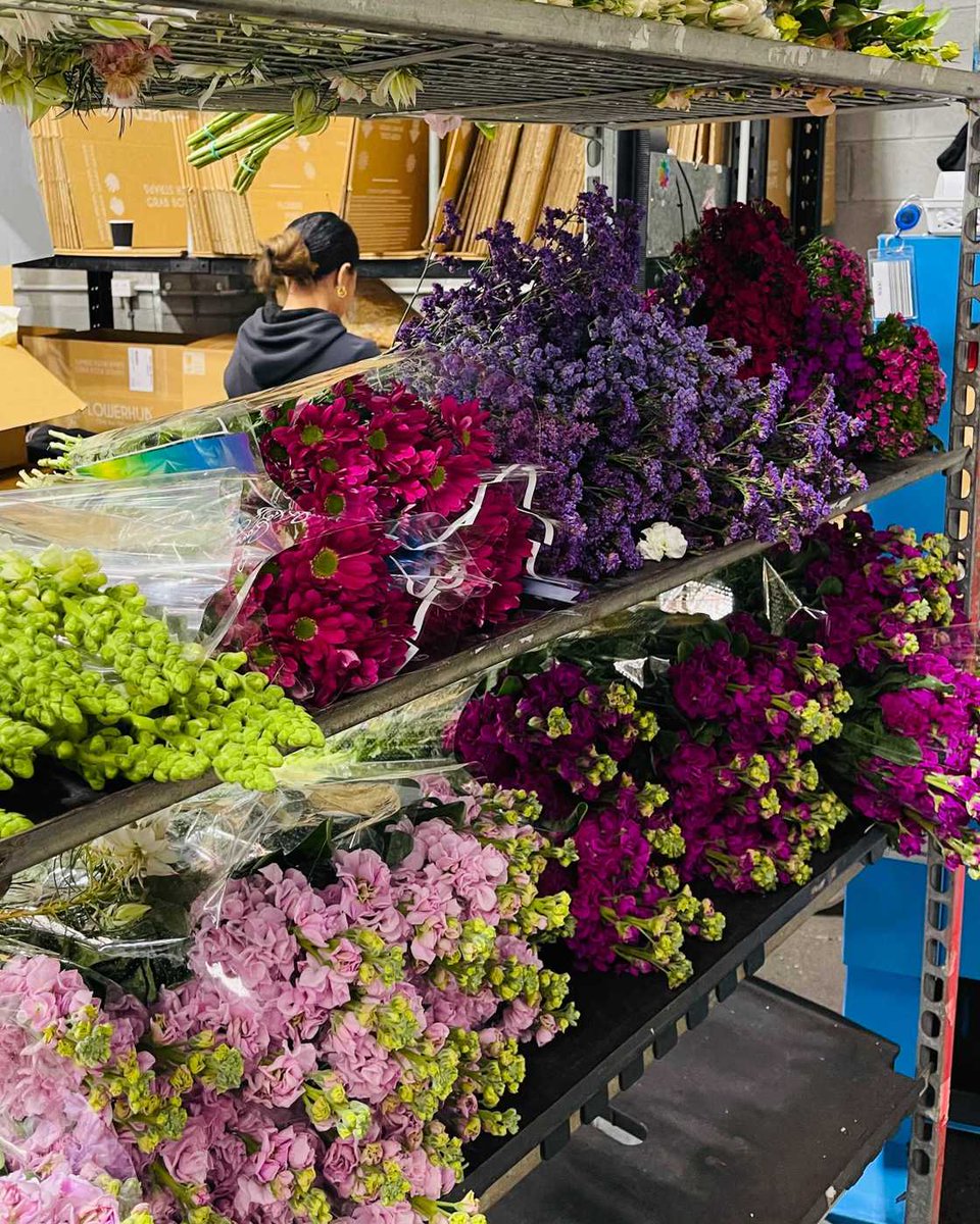 FlowerHub_AUS's tweet photo. No, we don't pack out this late but you can buy online anytime from our Online Flower Market.🌸 Check out the wide range of fresh, dried and preserved flowers (and plants) ready for you. 👉 https://t.co/JlN2Jxba7s https://t.co/7CAx0Y8fD5