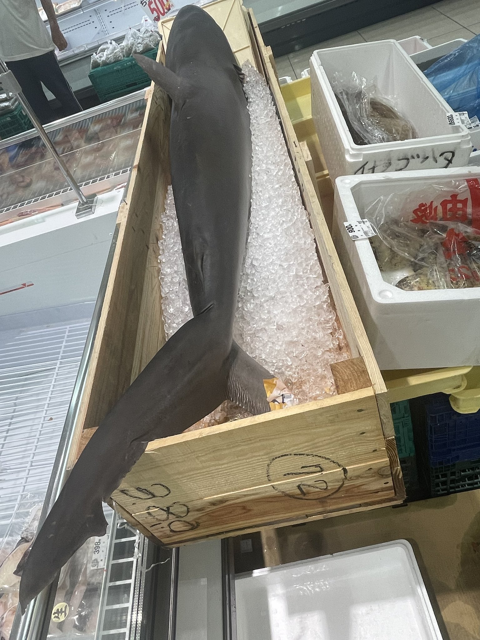 トライアル三田店 Twitter Search Twitter