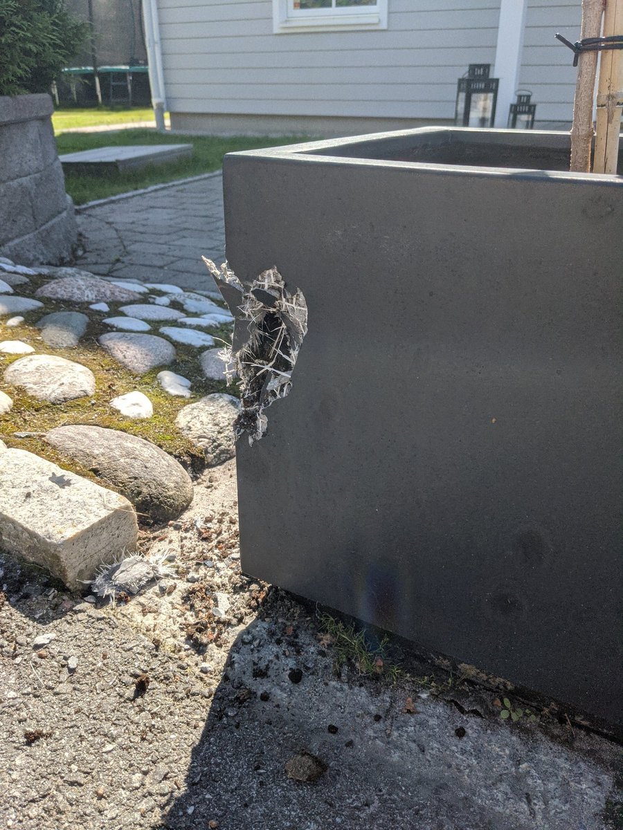 Alexander Simme tweet media