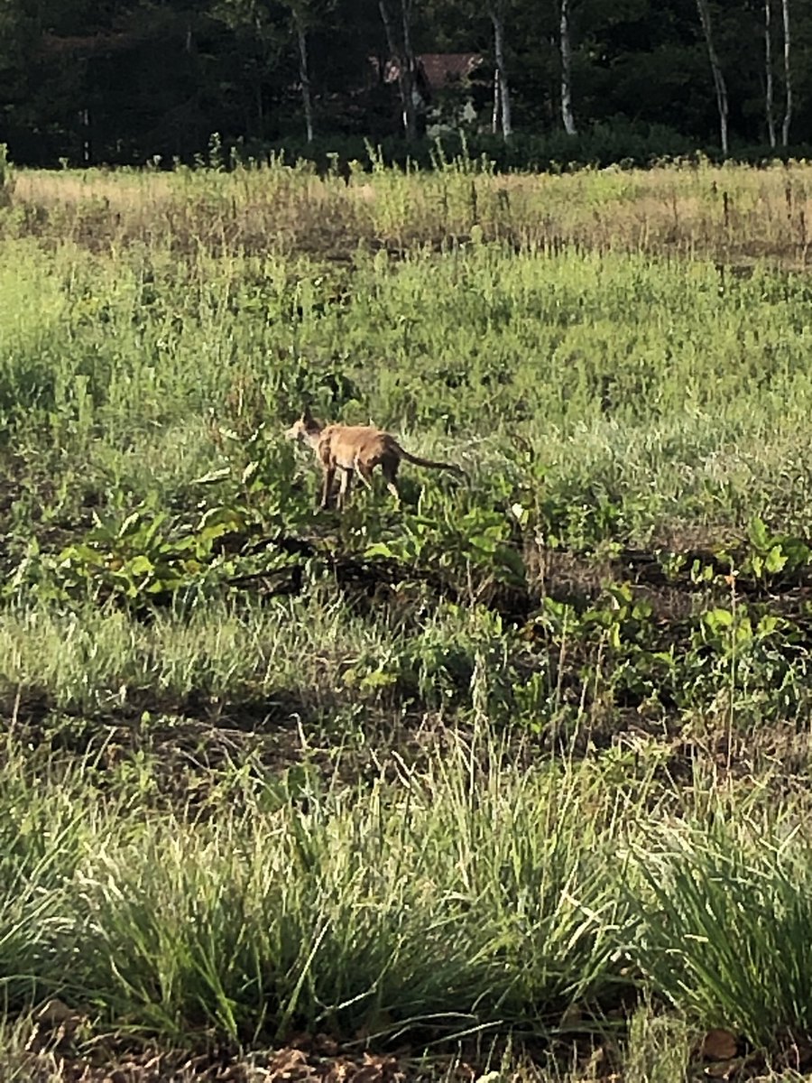 みっつ Mittsu5959 Twitter