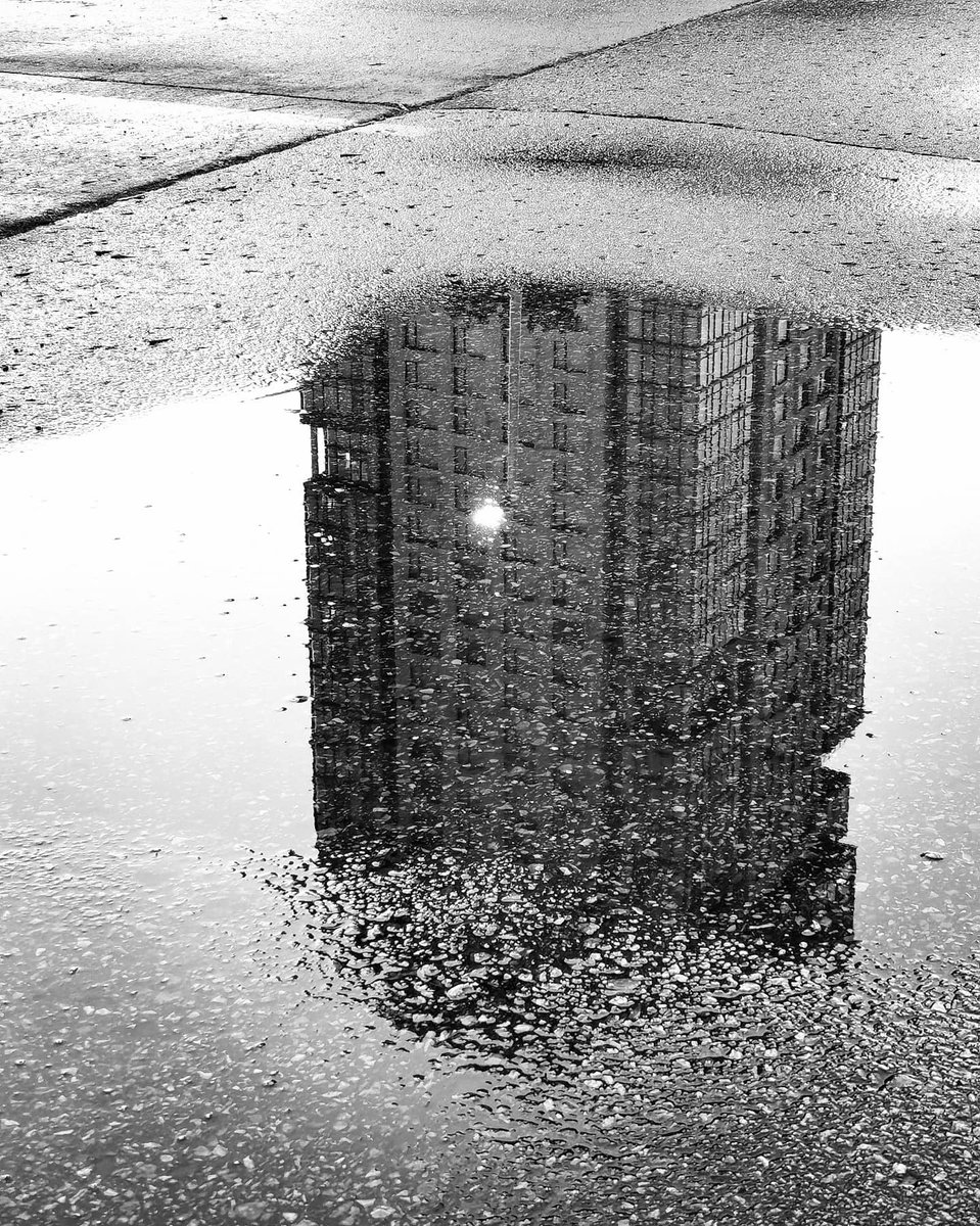 EMcleodKanchi's tweet image. A moment of reflection.

Happy Thursday. Have a beautiful day.

#Photography #photooftheday #YourshotPhotographer #Reflections #NatGeoYourShot #Twitter @AestheticaMag @AP_Magazine #Outdoorphotography #Art