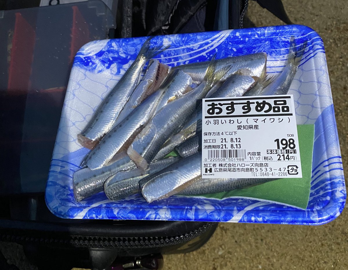 Deco とりあえずイワシを投げておいて 生き餌が釣れたら泳がせ釣りする T Co Wwznxms4rz