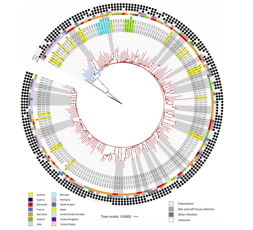 Microbiology Society tweet media
