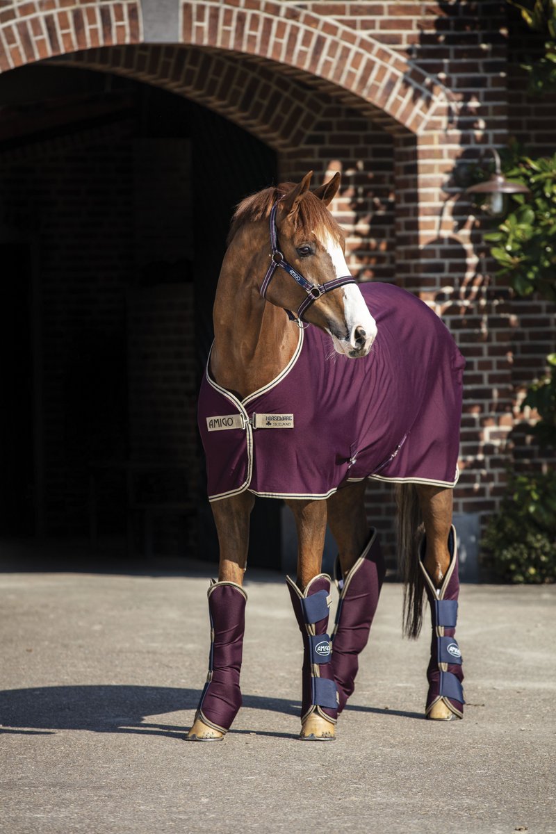 The Equine Warehouse tweet media