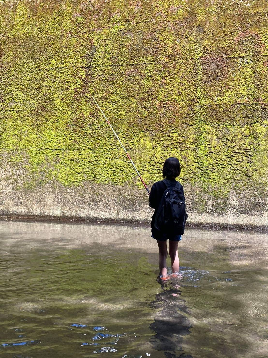 تويتر 綾坂楊 おはやなbot على تويتر この間友に誘われて釣り行ったねん 友母の写メ 1枚目 届いたけどエモすぎんか 釣りした後釣ったお魚塩焼きとかにして食べたりお刺身頂いたりバリ美味かったしこんなに魚食べたの初めてかも 𓆛𓆜𓆝𓆞𓆟 他