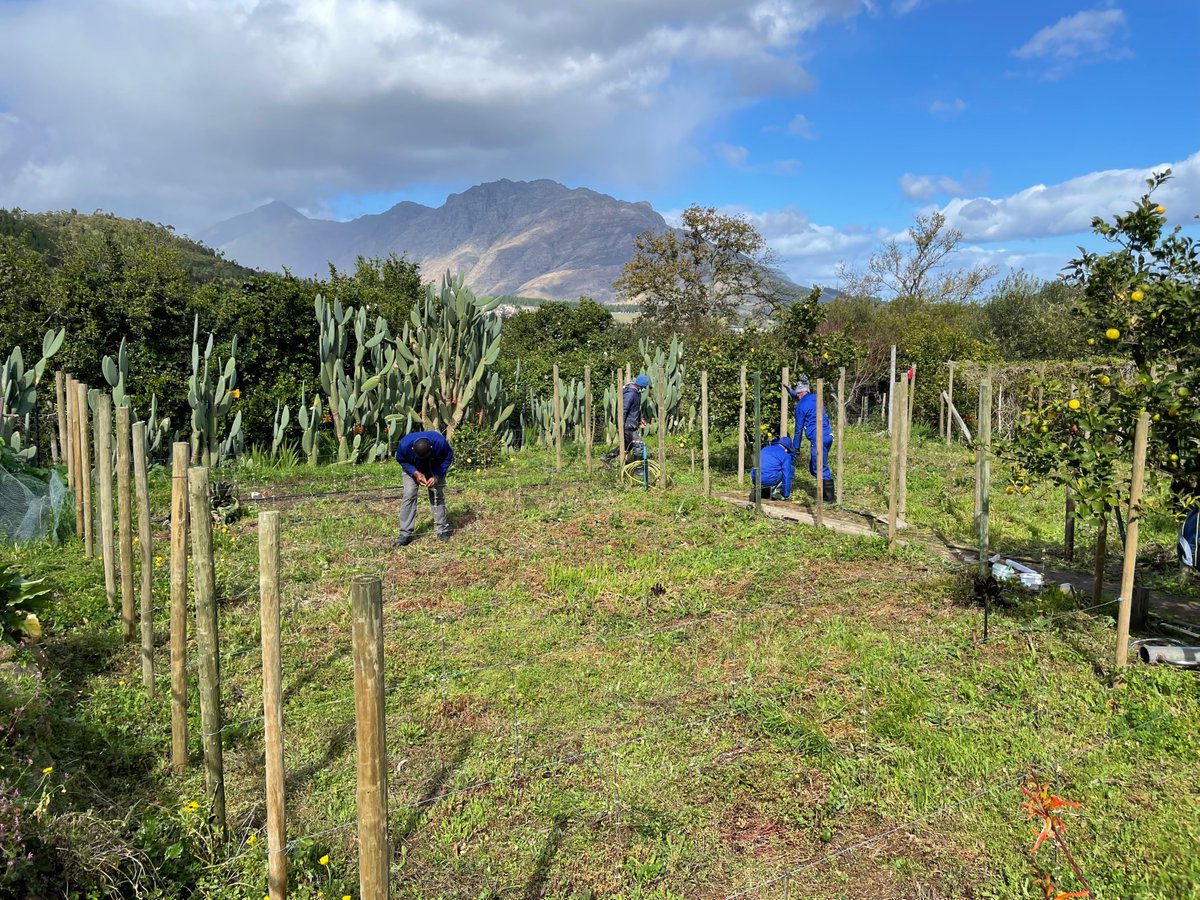 FarmerMike™ 👨‍🌾 tweet media