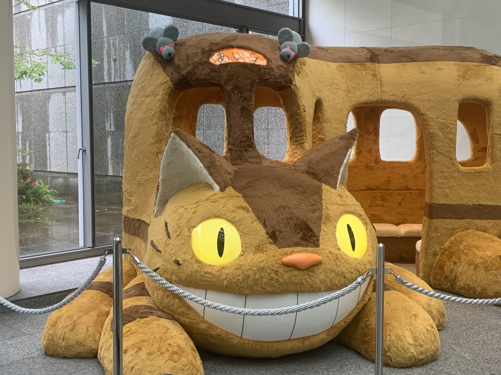 猫バス推し Twitter Search Twitter