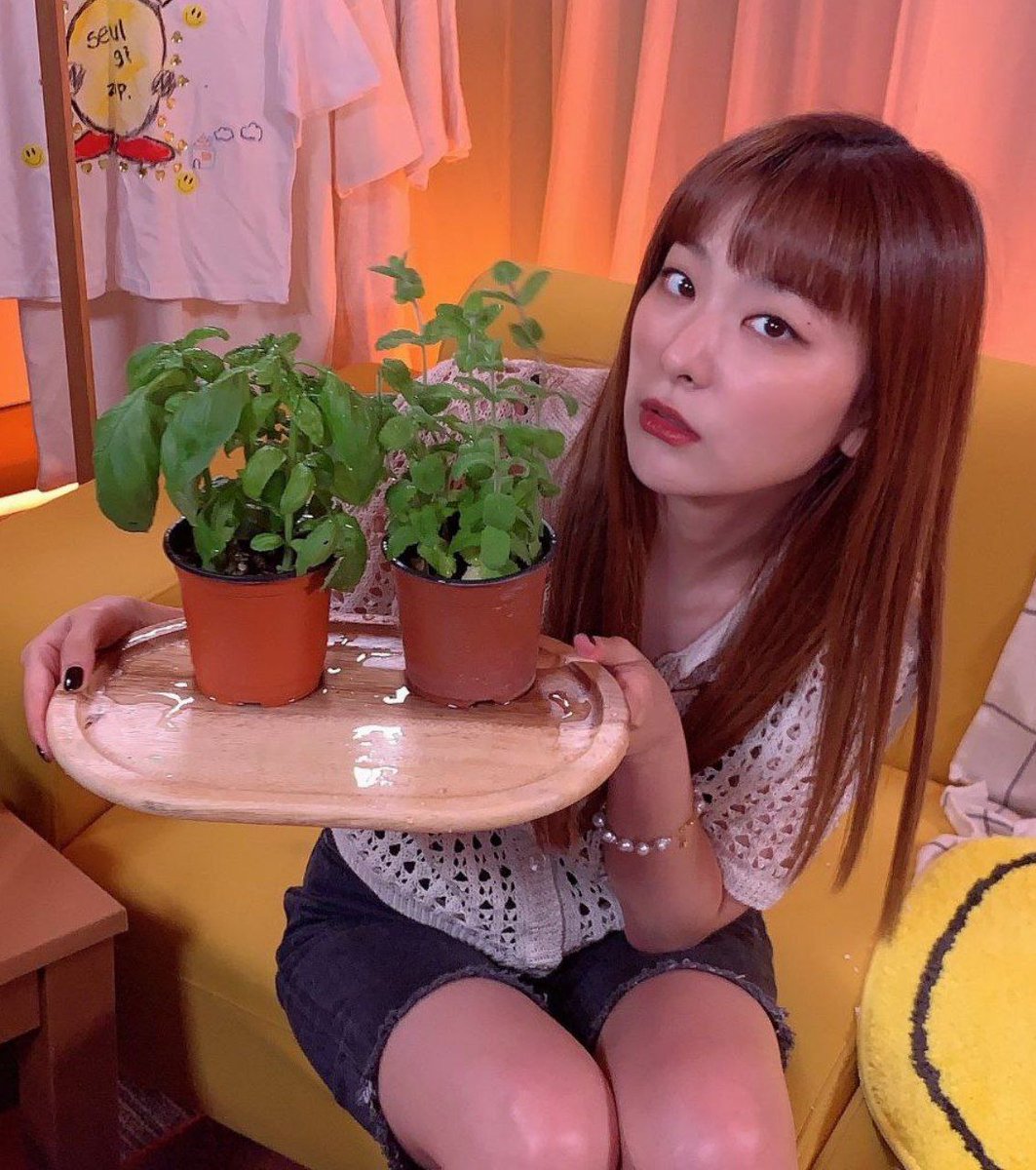 convboss's tweet image. ᅟ
Hoje de manhã chegou esses mimos da @Adidasrpbr, ser embaixadora da marca é receber presentinhos e plantas, uma vibe bem vegana e tals. Obrigada, mamãe Adidas, love u. 
ᅟ