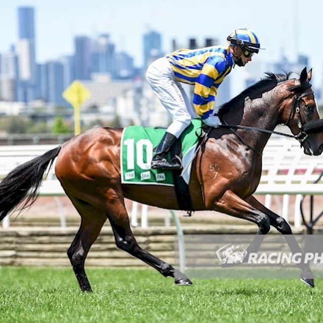 sharingwinners's tweet photo. Winner ! You Ripper. Newzeel Deal wins his first race today at Sale. So pleased for our Owners and Friends Has some ability this guy @CindyAlderson3 @AldersonRacing @clanbrooke @sharingwinners #patience #stayers #dundeel https://t.co/2AzRbCDFh2