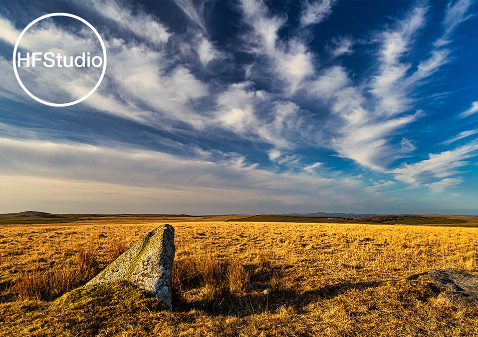 HARRY FRICKER MA tweet media