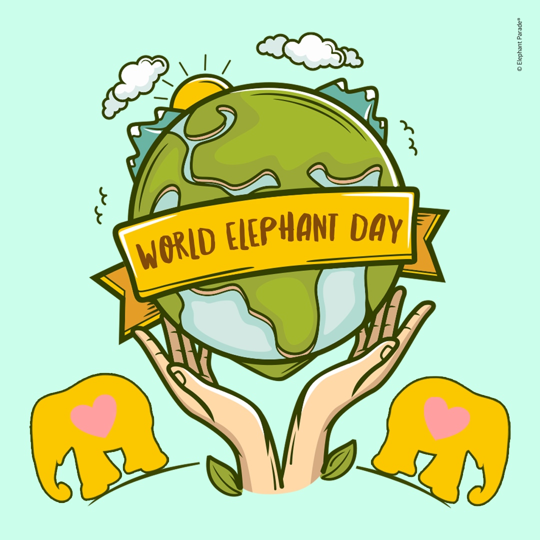 Elephant on Twitter: "World Elephant Day was launched to bring attention to the urgent plight of Asian and African elephants. The elephant is loved, revered and respected by people and cultures