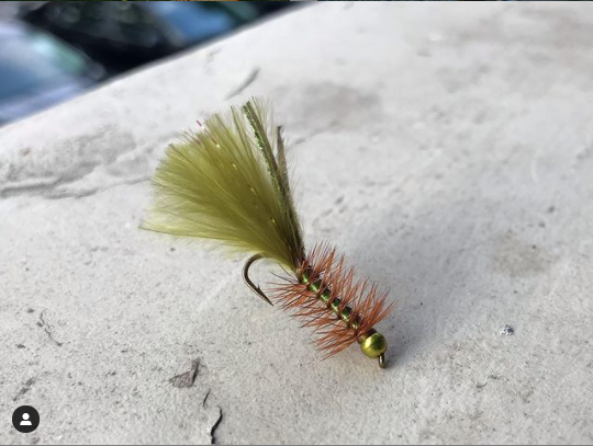 FarmsWhiting's tweet photo. Lean and mean tied by @flysouthoutfitters
Guacamole extra verde just hit the fly bins.
#flyfishingisfun #flyfishing #flytying #woolybugger #nashville https://t.co/TW9XFqNeay