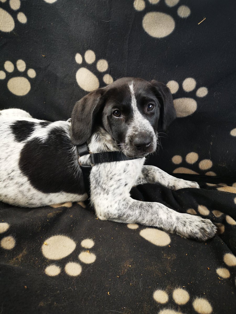 Demat tudoù... j'ai été occupée dernièrement met pen d'an traoù pouezus tre !

Degemerit "Ael Seven"

Ma hini eo ❤️

Goulennoù peus ?