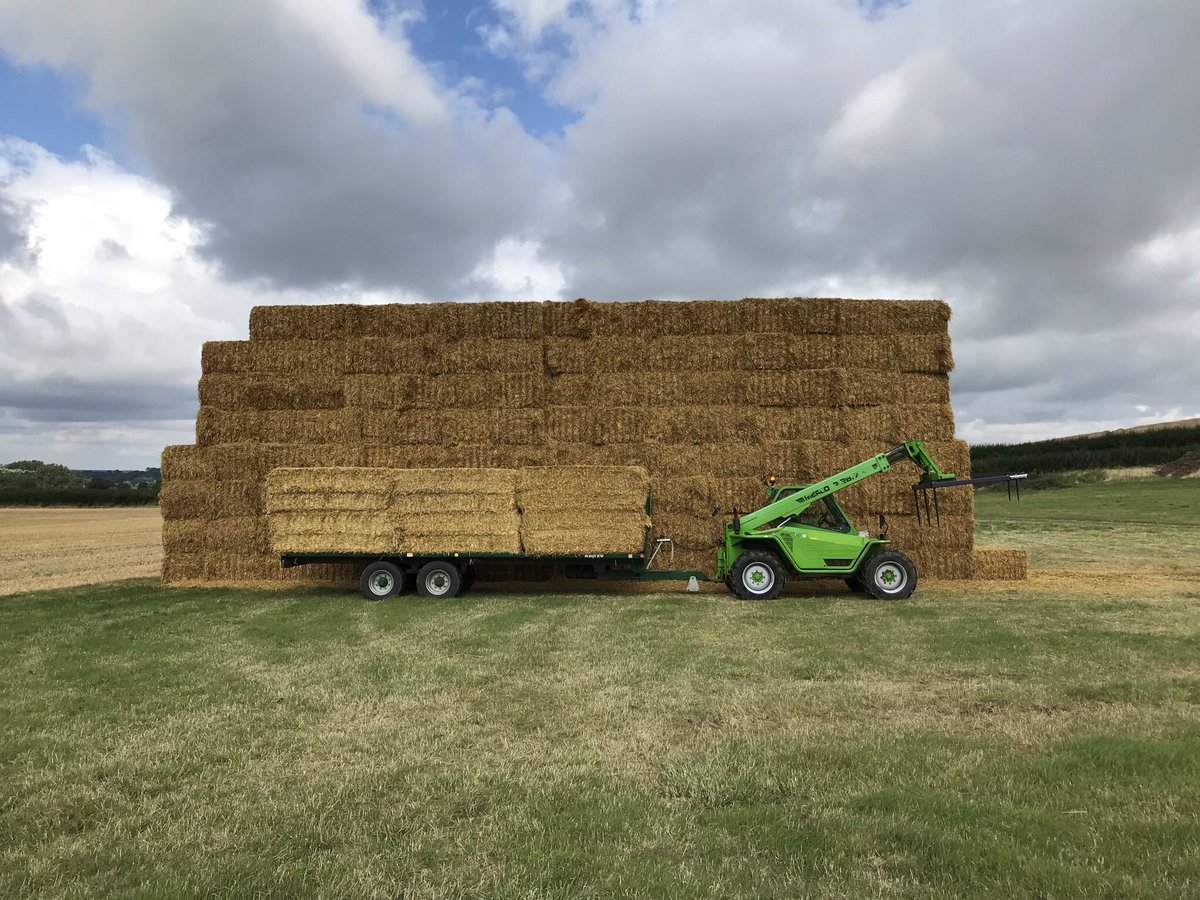 addisonslamb's tweet image. Big week this week! Straw all carted in for the first time ever on my own kit and calves coming back in now on 16hr days with the new lights and tube vent 👌👌#longtimecoming #firsttimefarmer #calfrearing