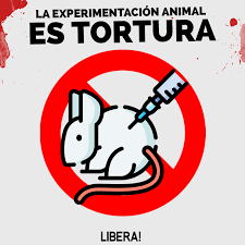 BHomosapiens's tweet photo. ES TORTURA https://t.co/EnTgW8EQ0X